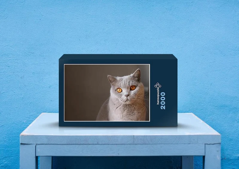 28694 Tierwelt - Katze Puzzle