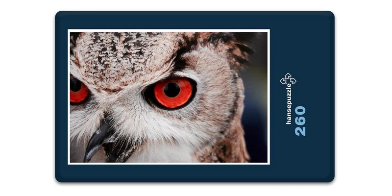 18039 Tierwelt - Eule Puzzle
