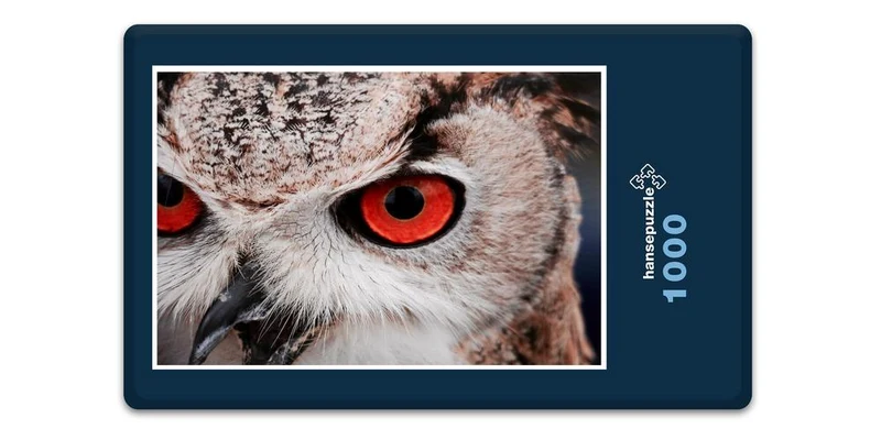 18039 Tierwelt - Eule Puzzle