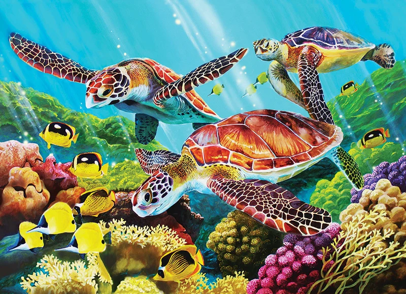 Molokini Current (Family Puzzle)