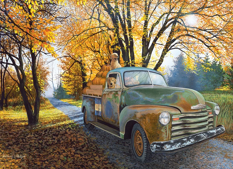 Joyride, Anthony J. Padgett