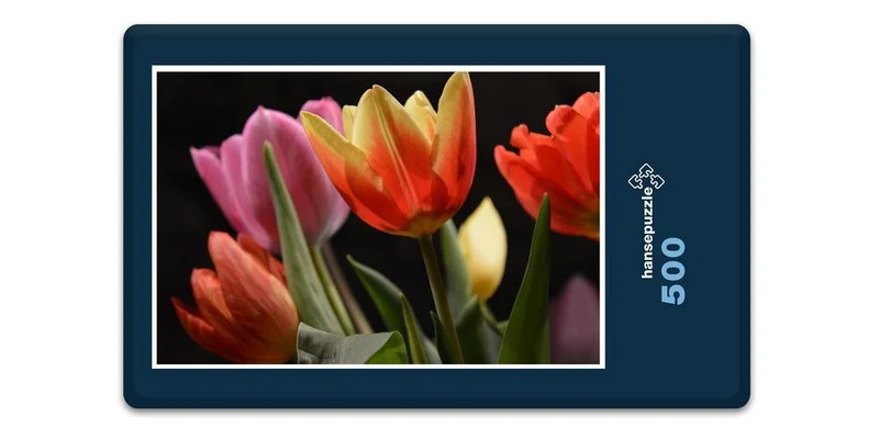 17015 Natur - Tulpe Puzzle