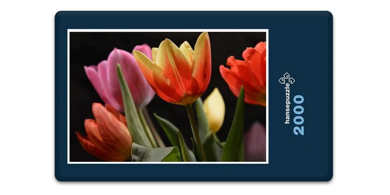 17015 Natur - Tulpe Puzzle