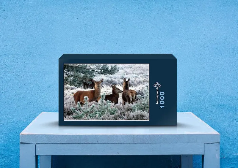 27013 Tierwelt - Hirsch Puzzle