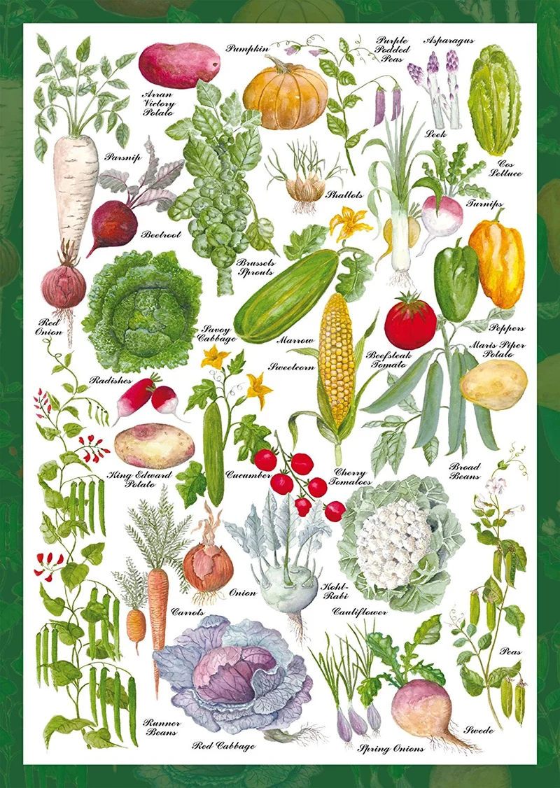 Vegetable Garden