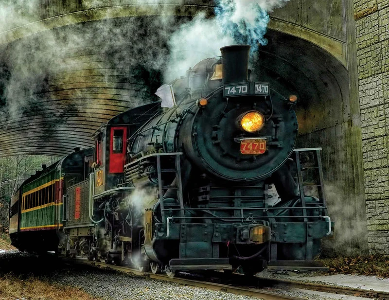 Green Mountain Express, Lydia Williams