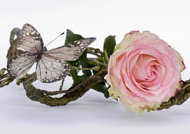 26938 Hintergründe - Rosenblüten Puzzle
