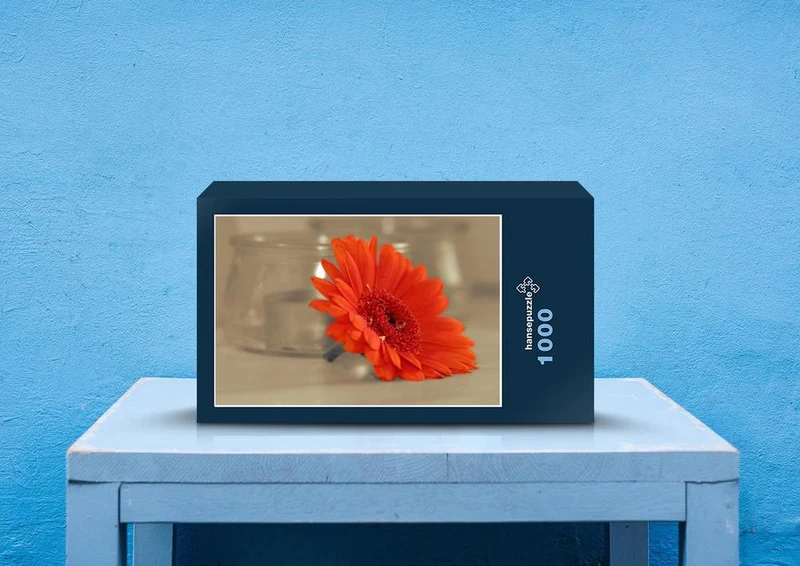 26933 Hintergründe - Gerbera Puzzle