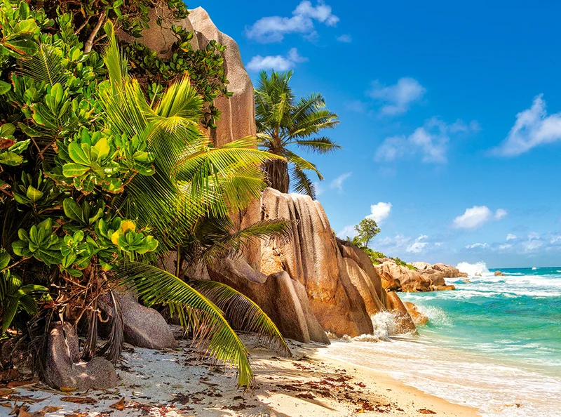 Paradise Beach of Seychelles