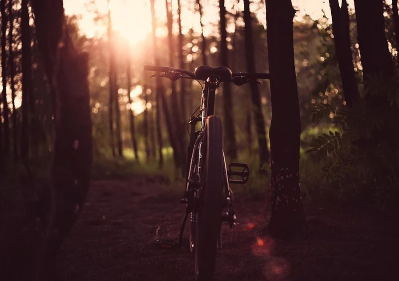 29014 Reisen - Fahrrad Puzzle