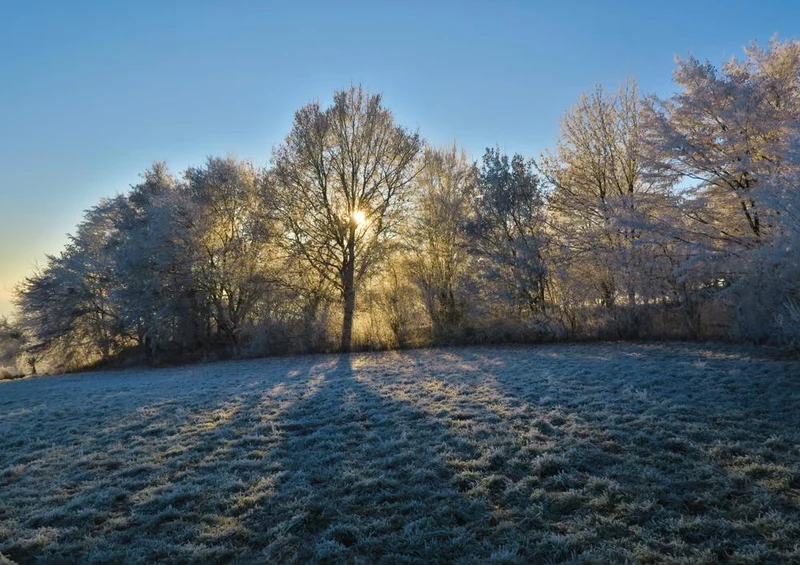 28304 Natur - Winter Puzzle