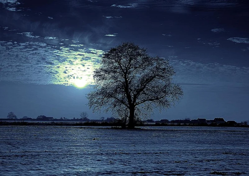 27213 Natur - Mondlicht Puzzle