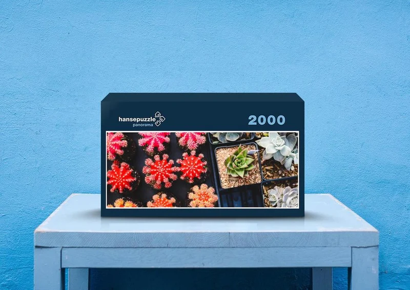 28499 Natur - Kakteen Puzzle