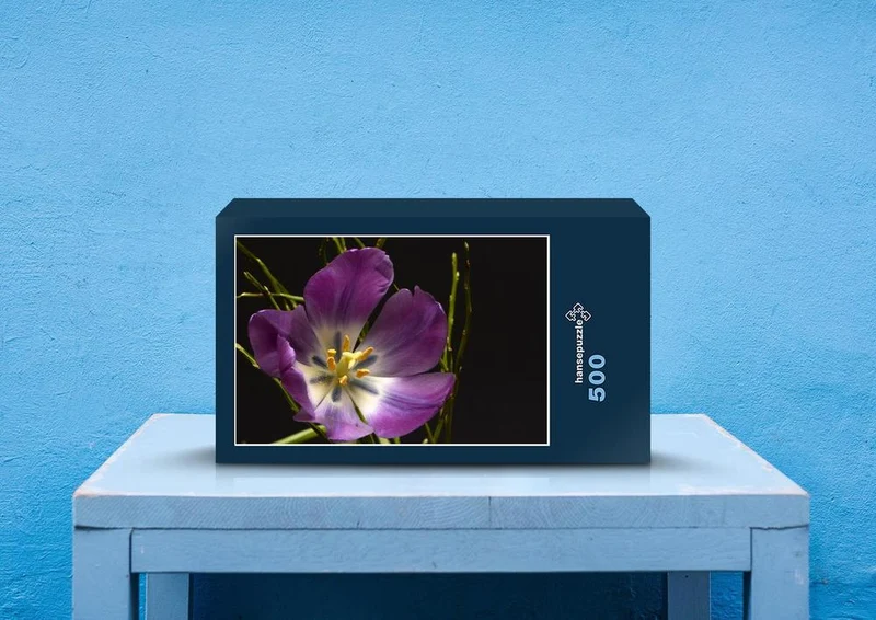 27088 Natur - Tulpenblüte Puzzle