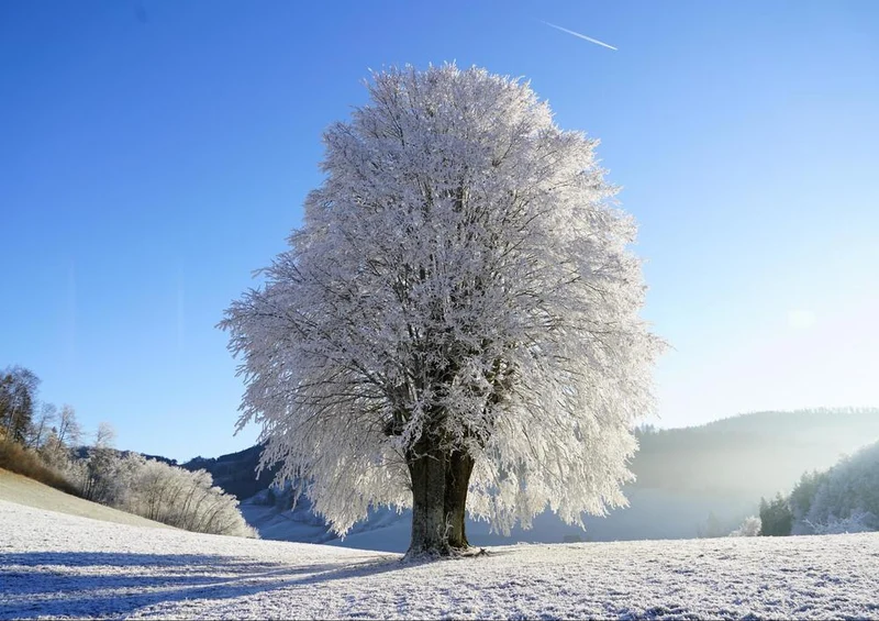 27083 Natur - Winterlandschaft Puzzle