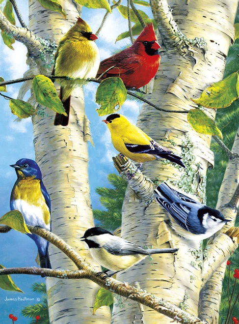 Songbird Favorites, James Hautman