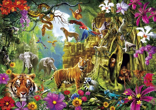 Jungle Discovery, Ciro Marchetti