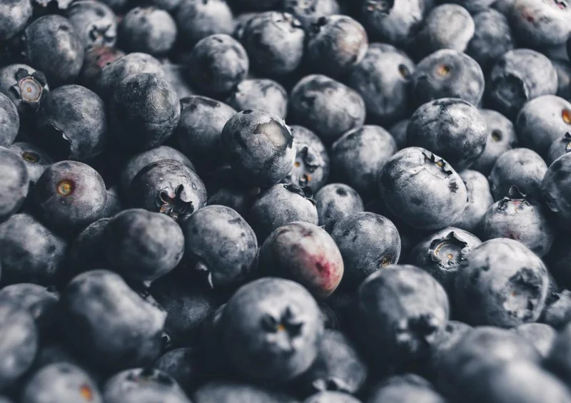 28914 Natur - Blaubeeren Puzzle