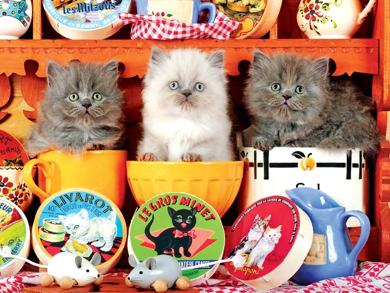 Three Little Kittens