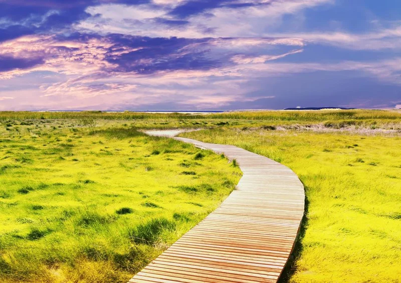 27760 Natur - Landschaft Puzzle