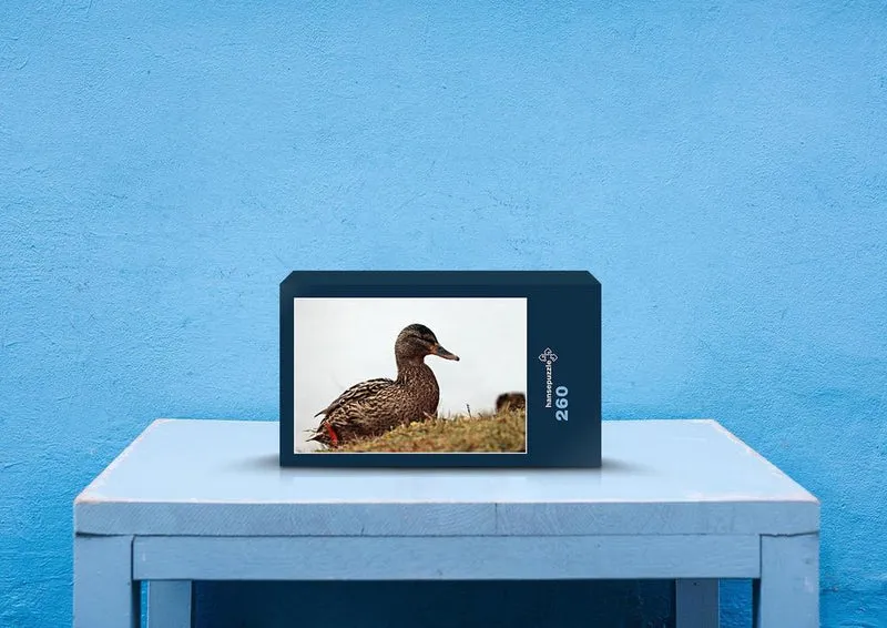 27755 Tierwelt - Ente Puzzle