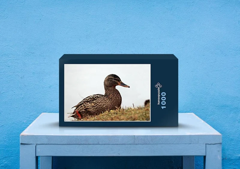 27755 Tierwelt - Ente Puzzle
