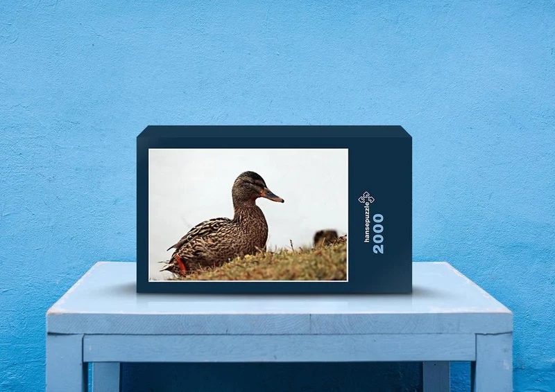 27755 Tierwelt - Ente Puzzle