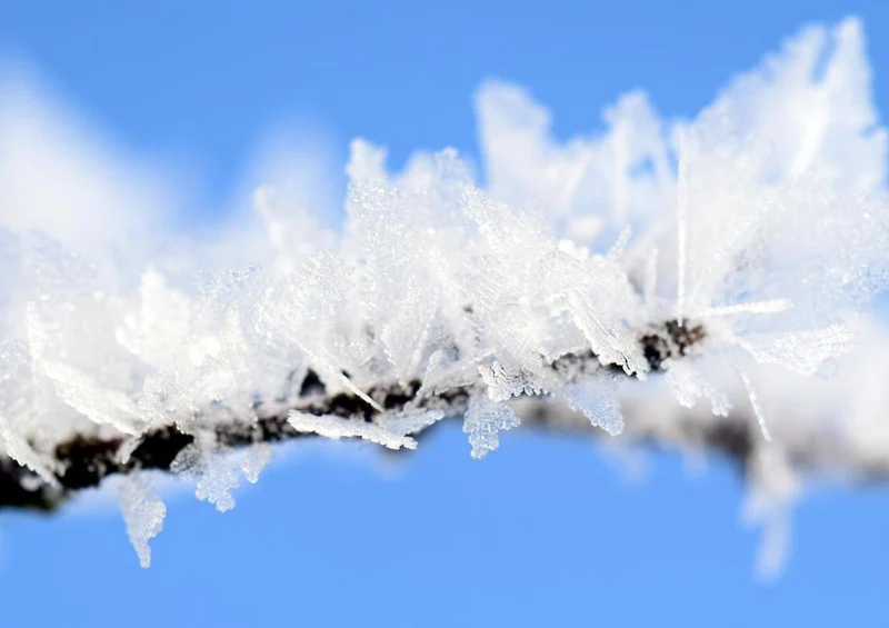 27073 Natur - Frost Puzzle