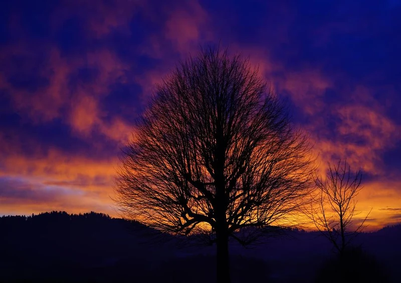 26613 Natur - Sonnenuntergang Puzzle
