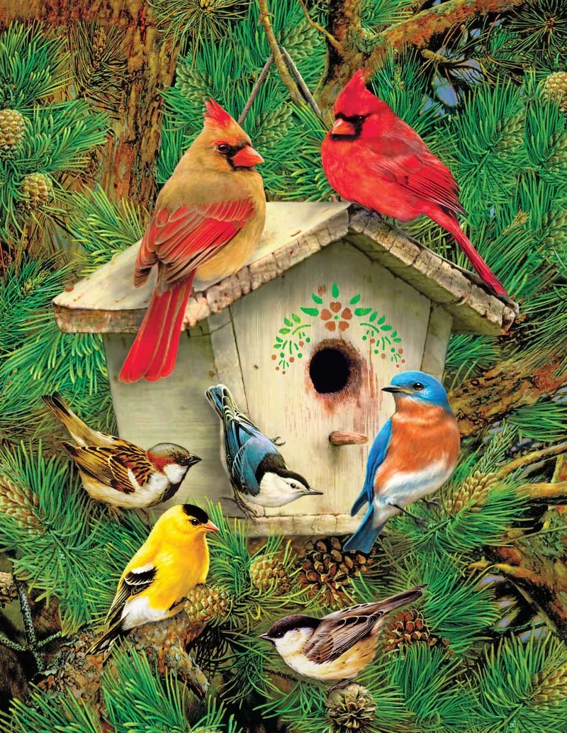 Feathered Retreat, Greg Giordano
