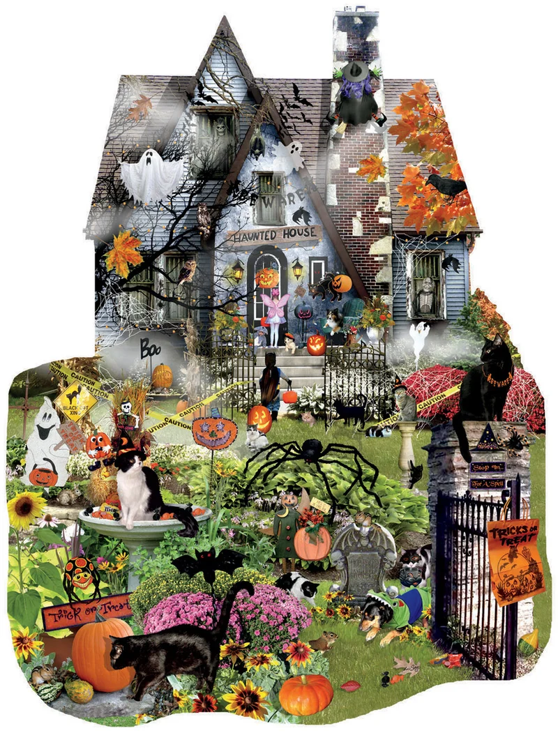 Spooky House, Lori Schory (Shaped)
