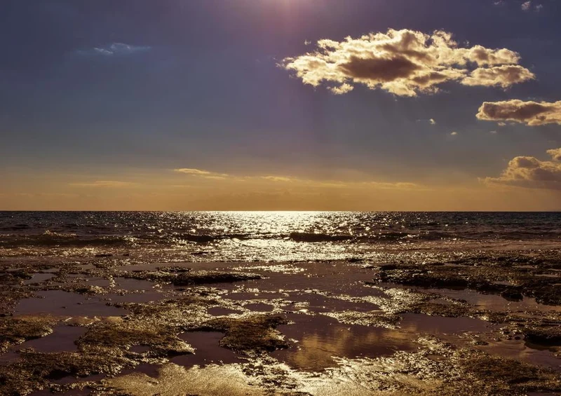 26145 Natur - Meer Puzzle