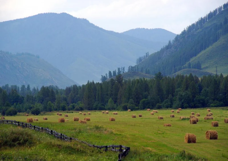 26140 Natur - Landschaft Puzzle
