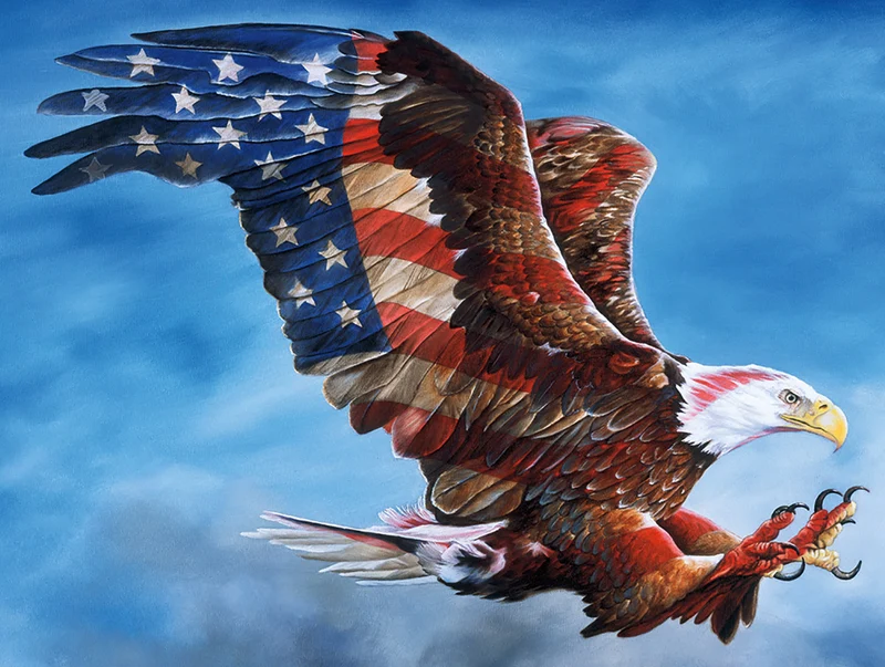 American Glory, Donna Wayman (Shaped Puzzle)