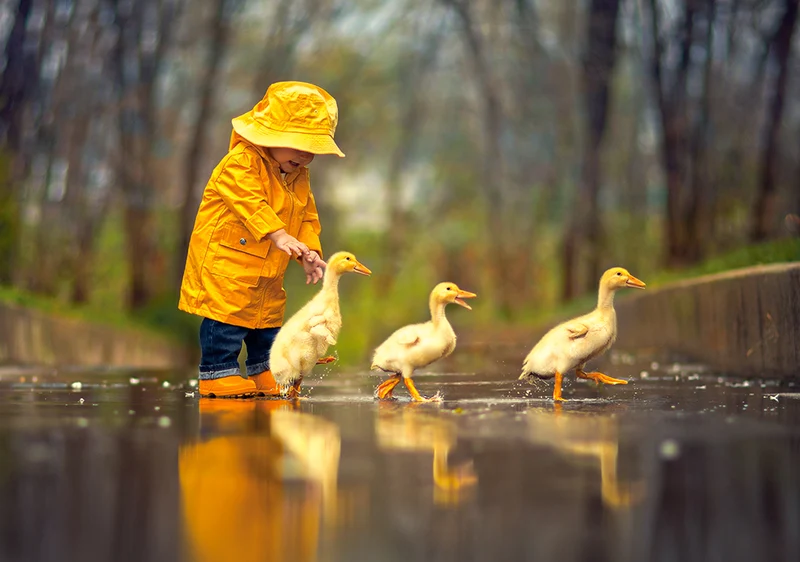 Rainy Day Friends