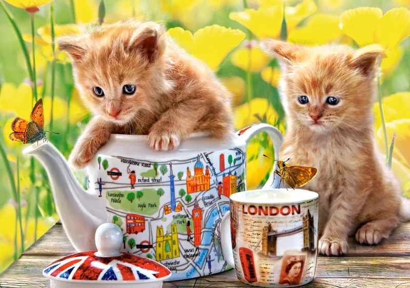 Tea Time, Elena Eremina (500pcs)