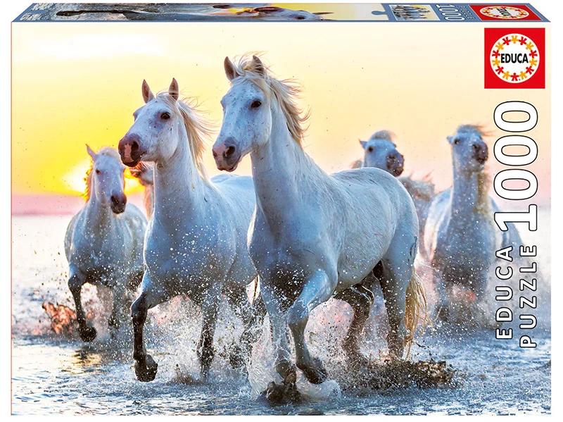 White Horses at Sunset