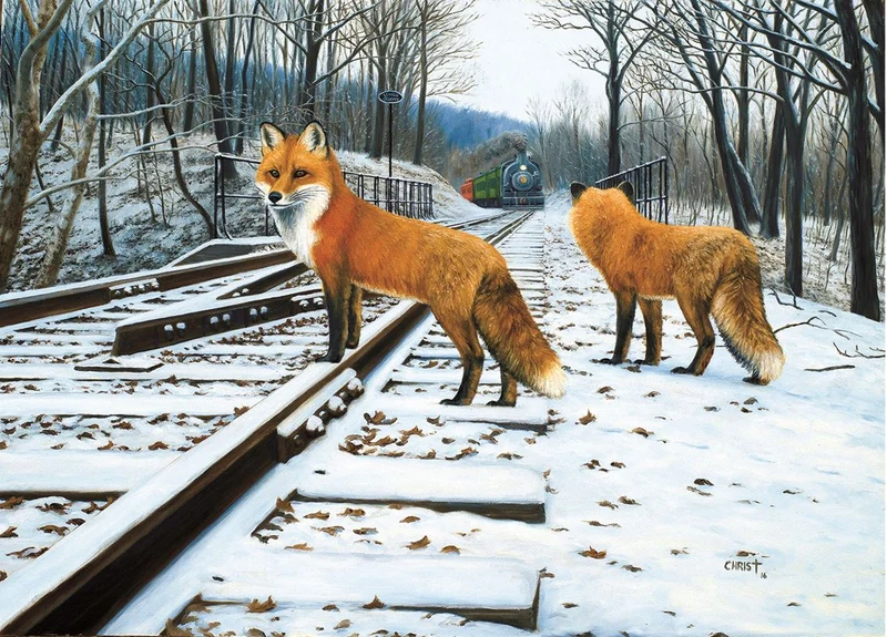 Fox Tracks, Dan Christ