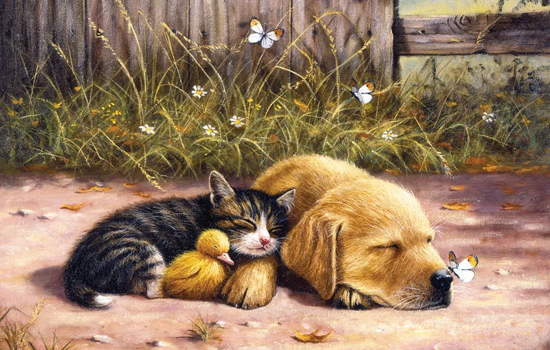Sleepy Days, Kevin Walsh