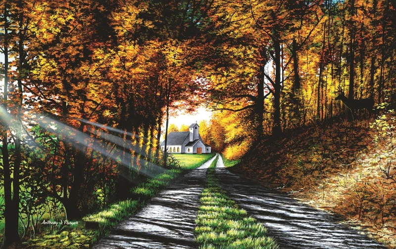 Choose Your Path Wisely, Anthony J. Padgett