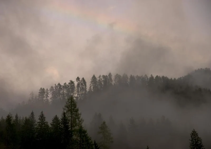 26090 Natur - Nebel Puzzle