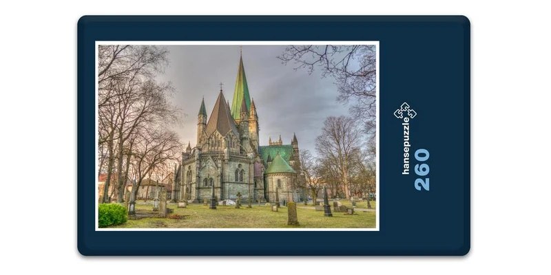 16989 Reisen - Dom in Trondheim Puzzle