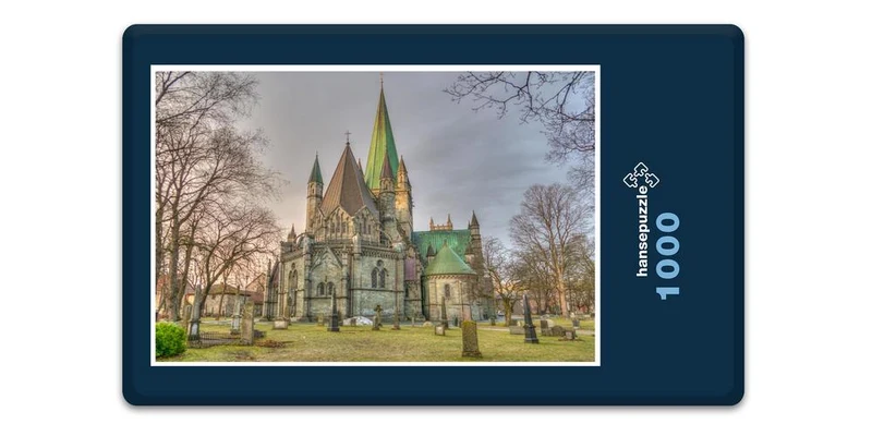 16989 Reisen - Dom in Trondheim Puzzle