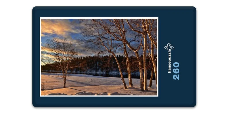16988 Reisen - Schneelandschaft Puzzle