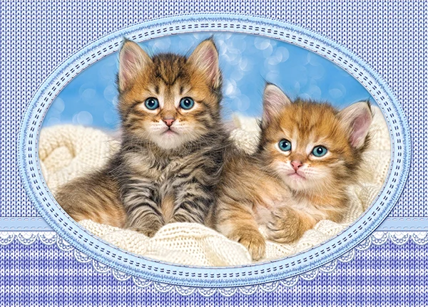 Kittens Curling up on a Blanket