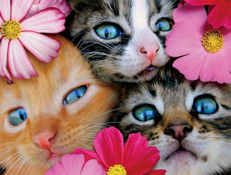 Kittens in Flowers