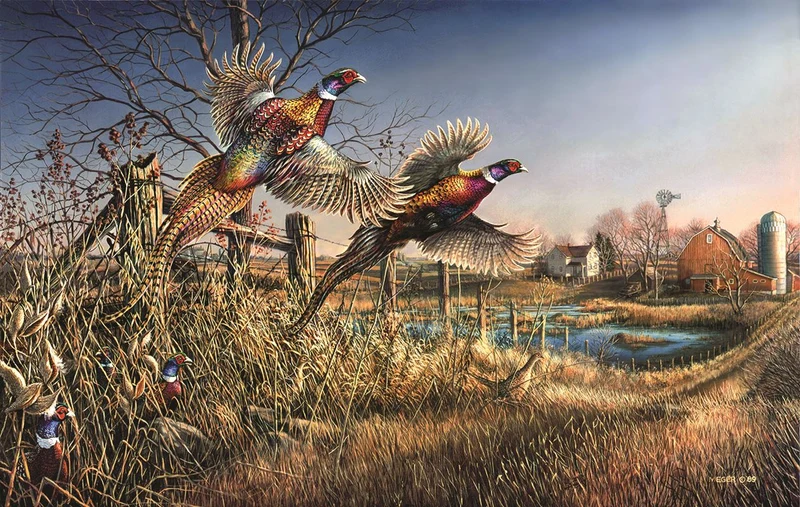 Homestead, James A. Meger