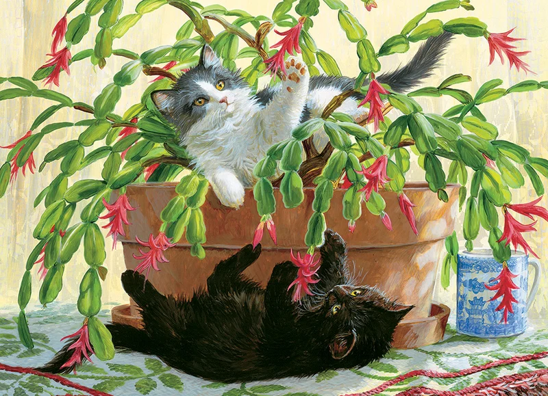 Cactus Kitties, Persis Clayton Weirs