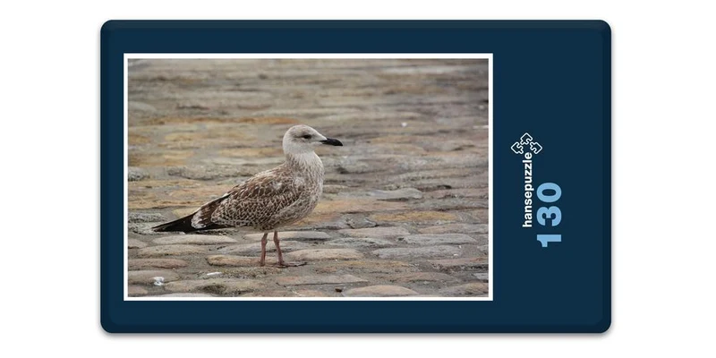 16981 Reisen - Urlaubs-Flieger Puzzle