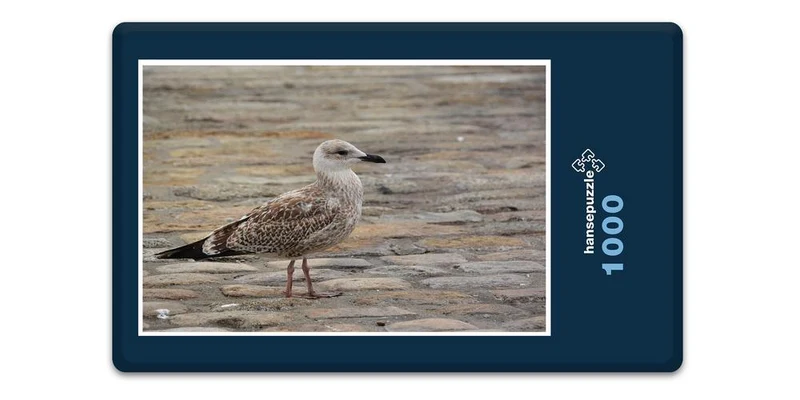 16981 Reisen - Urlaubs-Flieger Puzzle